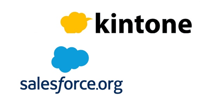 SalesforceやKintoneなどプラグイン開発
